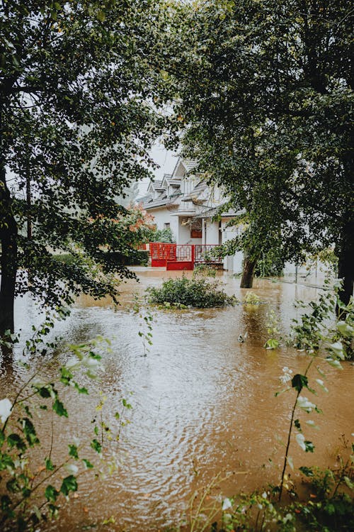 free-photo-of-flooded-suburban-landscape-with-house-and-trees